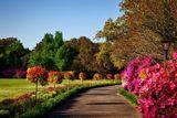 Fields of Green | 5 Homes With Decorative Gardens