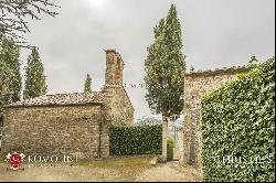 Tuscany - FARMHOUSE WITH VINEYARD AND OLIVE GROVE FOR SALE GREVE IN CHIANTI