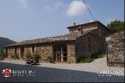 Tuscany - ESTATE WITH MANOR VILLA AND VINEYARDS FOR SALE IN SIENA