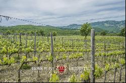 Tuscany - MORELLINO DI SCANSANO WINE ESTATE FOR SALE IN MAREMMA