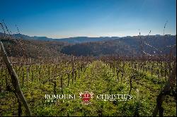 Chianti Classico - RENOWNED WINE ESTATE FOR SALE IN GAIOLE, TUSCANY