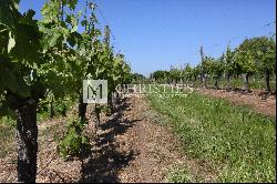 Beautiful historical Bordeaux vineyard estate of approx. 35 ha
