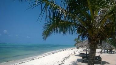 Zanzibar beach front