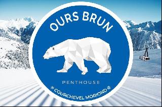 L'OURS BRUN