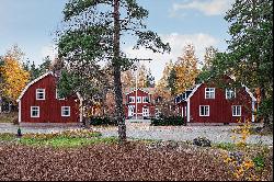 Historic Swedish village in a beneficial park environment