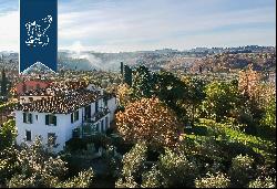 Stunning luxury villa a few minutes from Florence