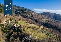 Luxury hamlet for sale near Florence