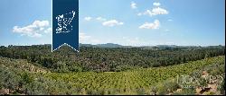  Farm For Sale Tuscany - Exclusive Italian Property