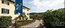 Luxory villas in Lucca
