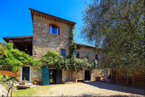 Beautiful Hamlet with an Ancient-Mill in the Arno Valley