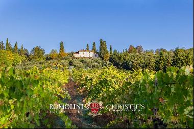 Tuscany - SMALL ESTATE FOR SALE 30 MINUTES FROM FLORENCE