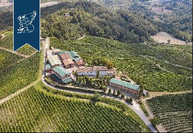 Luxury property with huge grounds, vineyards and a hunting reserve in Pavia