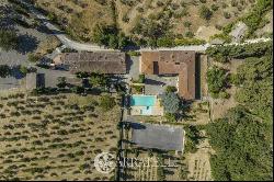 RIF. 4473 Wine and oil farm with park and swimming pool