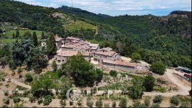 Ref. 6587 Farm with accommodation in the heart of Chianti