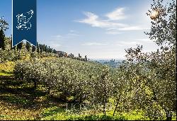 Luxury villa surrounded by an olive grove for sale in Vinci