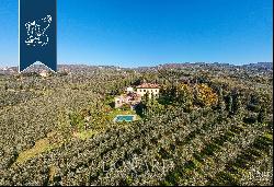 Luxury villa surrounded by an olive grove for sale in Vinci