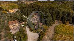 Ref. 6510 Winery with farmhouse and wine cellar in Greve in Chianti