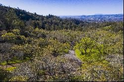 Eastside Sonoma View Land