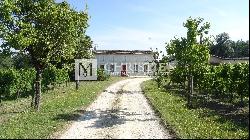 For sale organic vineyard of 15 ha – very well maintained with great terroir