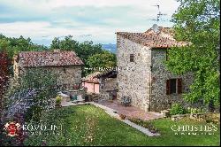 Tuscany - SMALL ESTATE WITH VINEYARD FOR SALE IN TUSCANY, ANGHIARI