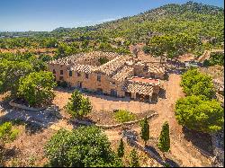 Rustic Finca in Paguera with large plot of land and a lot of potential
