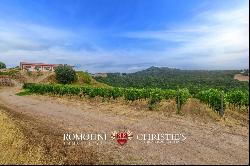 Tuscany - ORGANIC WINE ESTATE WITH 96 HA OF VINEYARDS FOR SALE IN MAREMMA