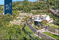 Luxury estate with a big park and panoramic terraces over the Gulf of Naples for sale