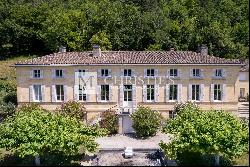 Sale Chateau in Bordeaux. Hobby Vineyard