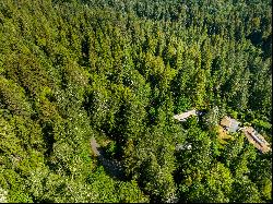 3 Acre Private Redwood Oasis