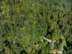 3 Acre Private Redwood Oasis