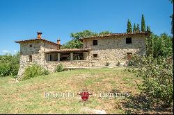 Tuscany - RESTORED COUNTRY HOUSE WITH HOBBY VINEYARD FOR SALE NEAR AREZZO