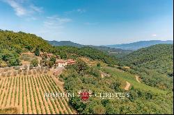 Chianti Classico - HISTORIC ESTATE WITH VINEYARDS FOR SALE IN GREVE, TUSCANY