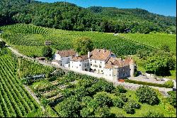Sumptuous castle built circa the 13th century with wine estate