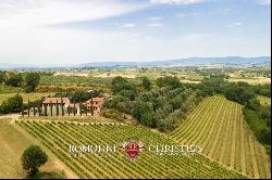 Tuscany - WINERY WITH 7 HA OF VINEYARDS FOR SALE IN MONTEPULCIANO
