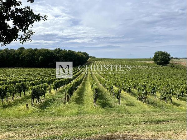 For sale at Duras, Renowned vineyard estate