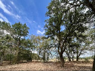 AZUR, CONSTRUCTIBLE WOODED LAND, NOT IN A PLANNED NEIGHBORHOOD