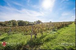 Tuscany - ESTATE WITH VINEYARD AND HUNTING RESERVE FOR SALE IN FLORENCE