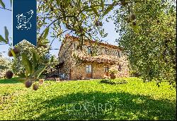 Stunning agritourism resort with a pool for sale in the Tuscan countryside