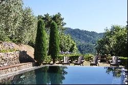 Villa Lavanda - exceptional property with a view of the Apuan Alps