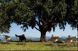Villa Perle, a classic Tuscan villa surrounded by vineyards and olive groves