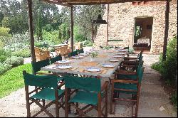 Villa Gladiolo - beautiful countryside estate among olive groves