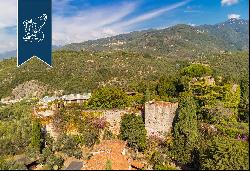 Prestigious fortified estate with a loft and a turret for sale in Versilia
