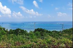 Nanjo Ocean View Land