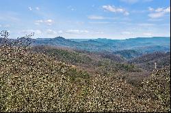 THE ORCHARD OF MAYVIEW - BLOWING ROCK