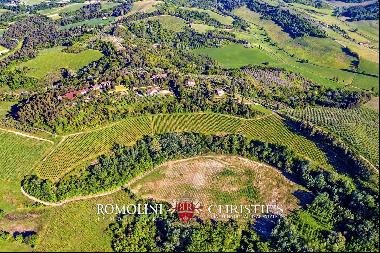 Chianti - 200-HA WINE ESTATE FOR SALE BETWEEN PISA AND FLORENCE