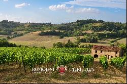 Chianti - 200-HA WINE ESTATE FOR SALE BETWEEN PISA AND FLORENCE