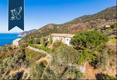 Estate of historical value for sale in the wild part of coast that is before the Cinque Te