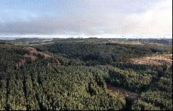 Forestry & Renewables Portfolio, Aberfeldy, Perthshire, PH15 2EB