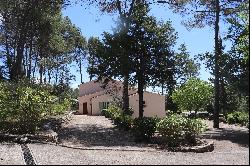 Traditional Provençal Villa