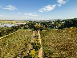 Red wine Boutique Winery in premium tourist position, surrounded by renowned world class 